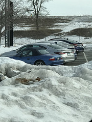 car dealership