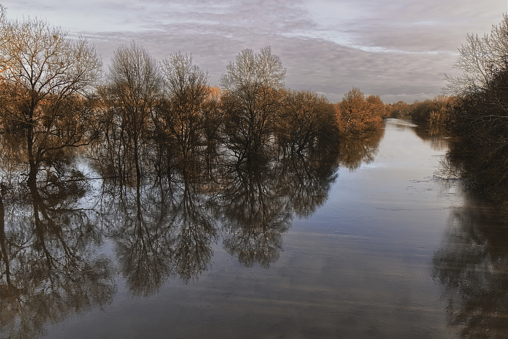 Le LOIR à SOUCELLES ( Maine et Loire).