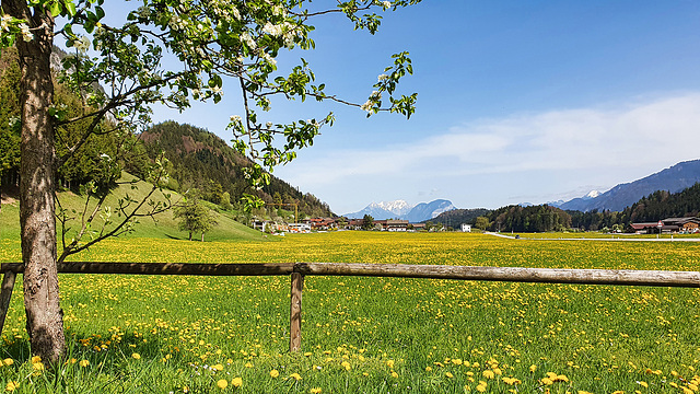 H.F.F. - in Kramsach (Tyrol)