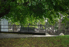 autumnal bench and fence ;-)