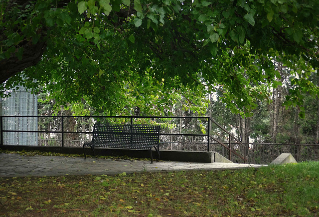 autumnal bench and fence ;-)