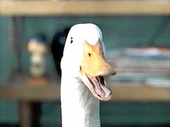 Aflac