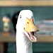 Aflac