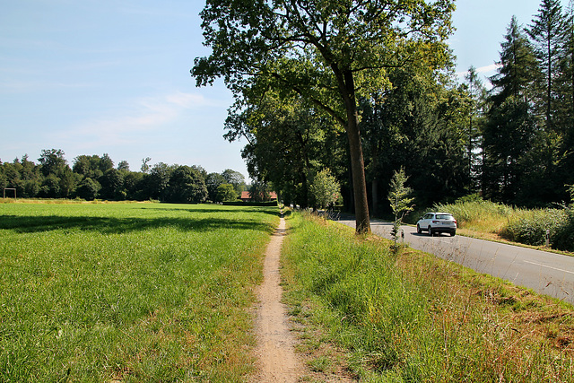 Wulfener Straße (Dorsten) / 20.07.2024