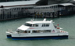 Fullers Harbour Cat at Auckland - 21 February 2015