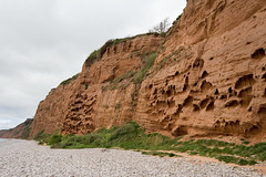 Cliffs of composed of Otter Sandstone, Budleigh Salterton
