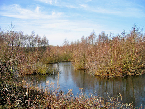 Pools at Fisherwick Farm