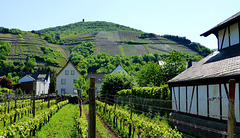 DE - Dernau - View towards Krausberg tower