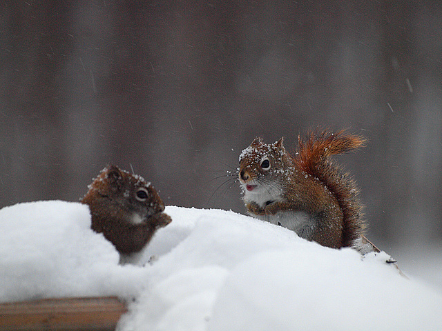 a fine day for a conversation