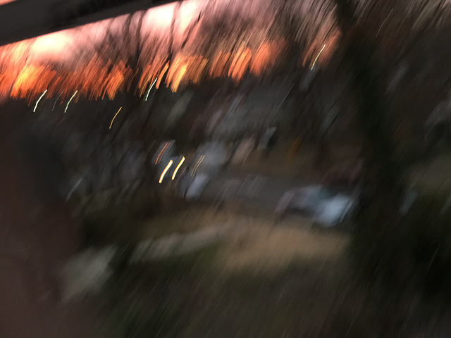 IMG 3488