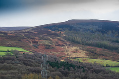 Tinitwistle Knarr after fire