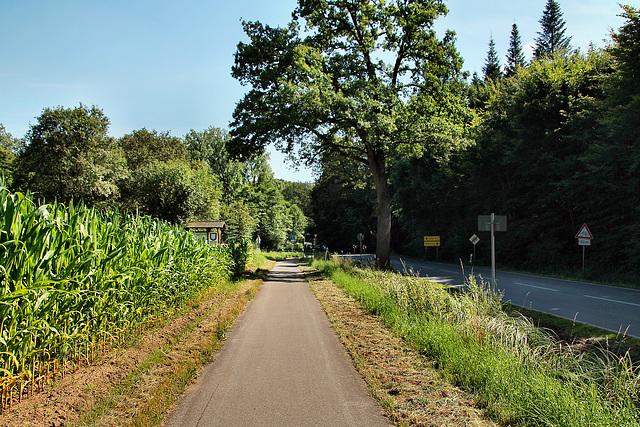 Wulfener Straße (Dorsten-Lembeck) / 20.07.2024