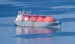 MS ARCTIC VOYAGER MS ARCTIC VOYAGER