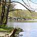 Esthwaite Water