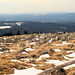 Viele Brocken am Brocken (PiP)