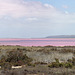 Pink lake panorama