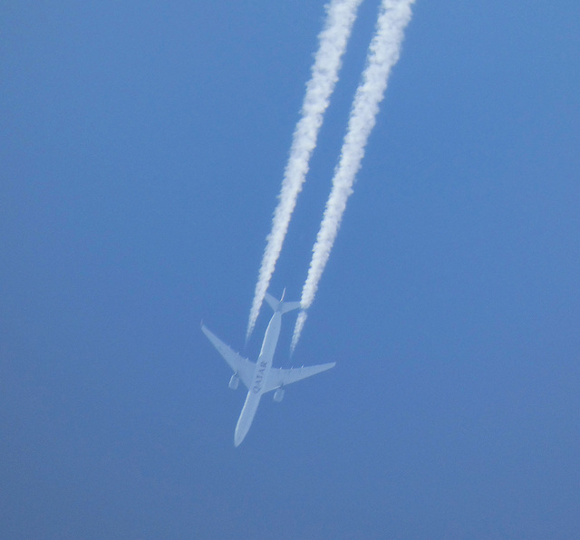 Airbus A350-1041 A7-ANG (Qatar Airways)