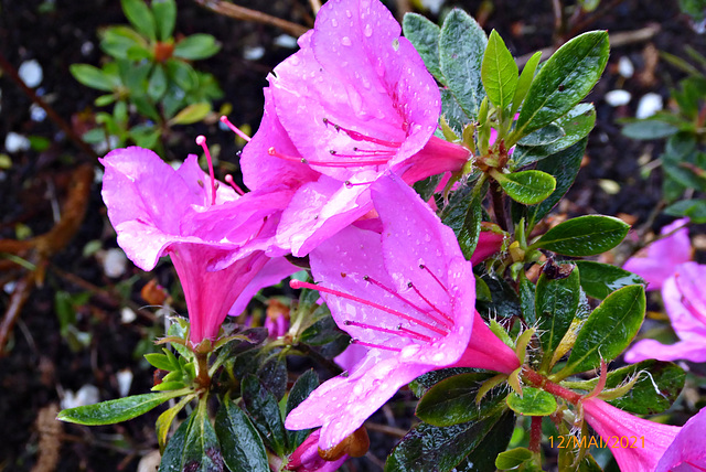 après la pluie du 12 mai