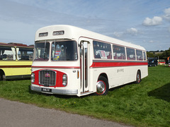 Former Red and White RC968 (OAX 9F) at Showbus 50 - 29 Sep 2019 (P1130413)