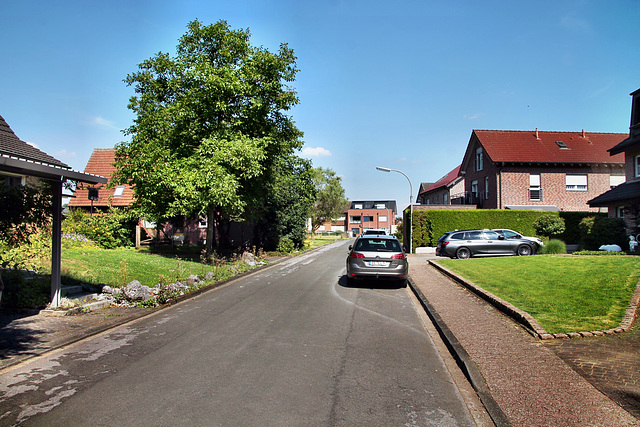 Von-Galen-Straße (Dorsten-Lembeck) / 20.07.2024