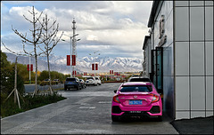 Hot pink Honda