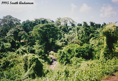 83 Jungle Near Guptapara