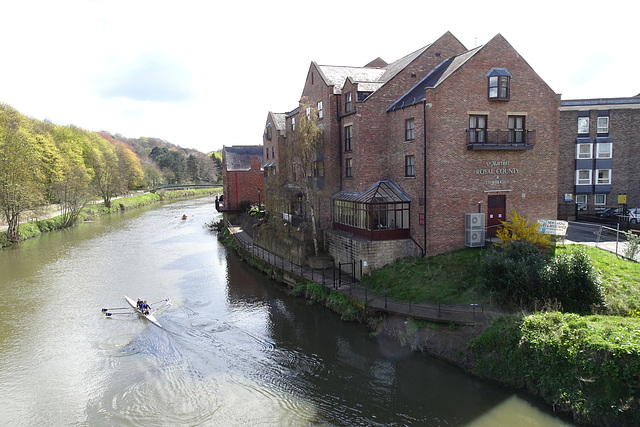 Rowers On The Wear