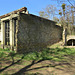 c19 orangery ruin, panshanger park, herts   (4)