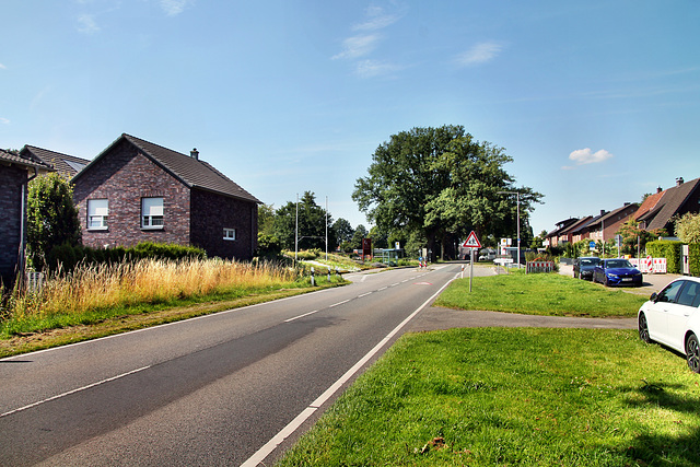 Wulfener Straße (Dorsten-Lembeck) / 20.07.2024