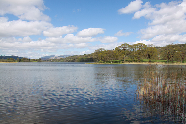 Esthwaite Water