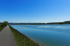 dem Klingnauer Stausee entlang ... (© Buelipix)