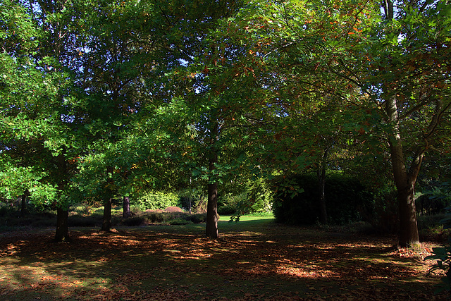 Les dernières couleurs de l'automne