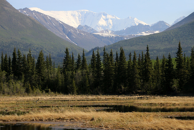 Distant glacier