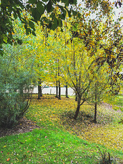 Autumn Colours