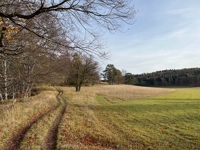 Traufgang Hohenzollnburgpanorama Weg
