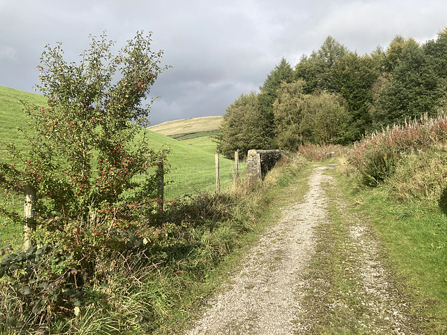 The path to the turnstile