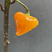 Orange Lantern