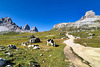 Dolomitentour (12)