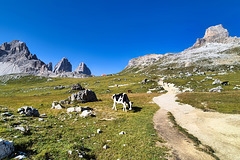 Dolomitentour (12)