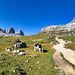 Dolomitentour (12)