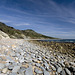 Charton Bay, Devon