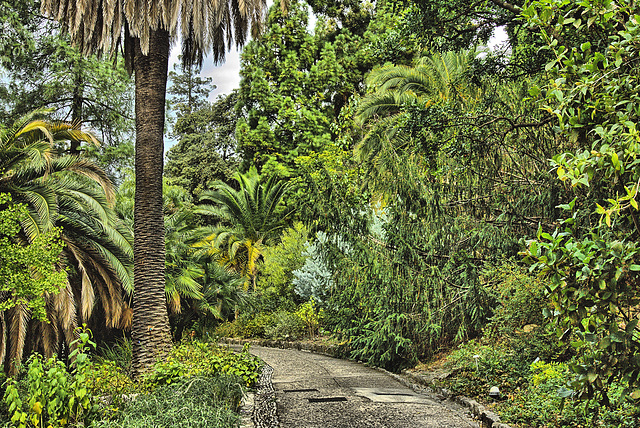Hanbury Gardens