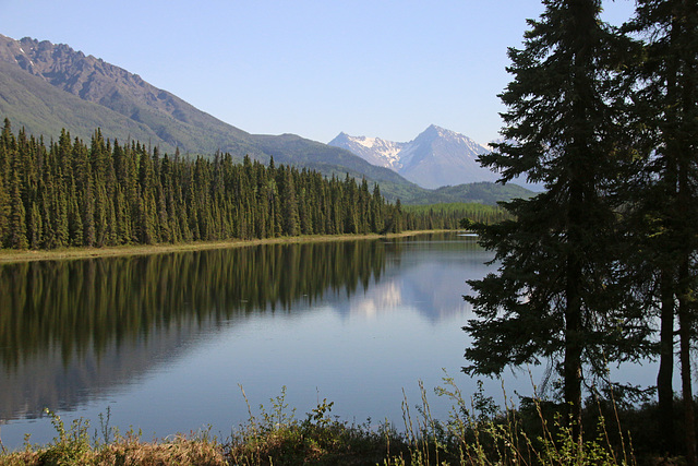 Tree-lined shore