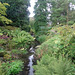 Stream at Harlow Carr