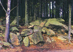 Der Brockenwald, auf Fels gewachsen! (PiP)