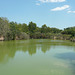 Crocodylus Park