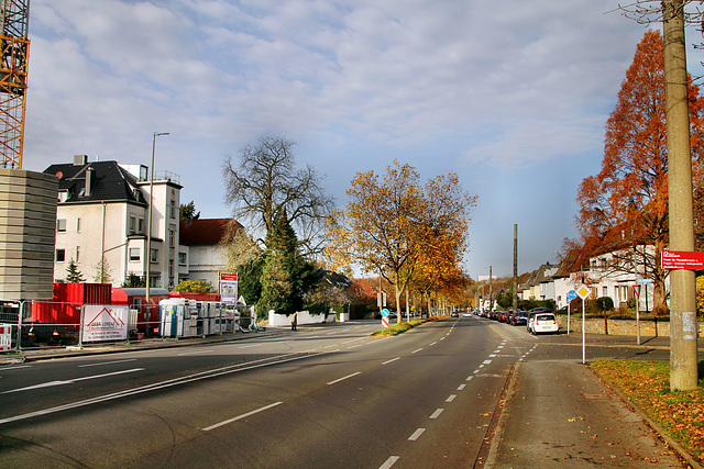 Ardeystraße (Dortmund-Brünninghausen) / 8.11.2020