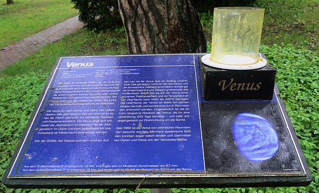 Venus