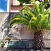 Bench under a pineapple palm - HBM