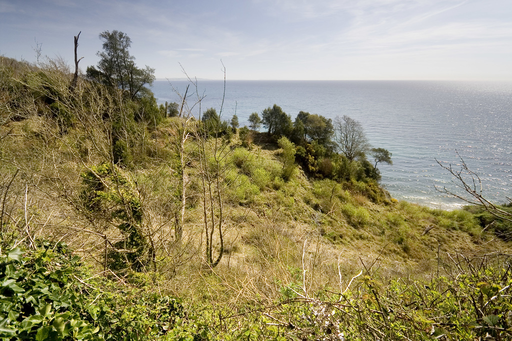 The Undercliff overlooking Pinhay Bay, east Devon